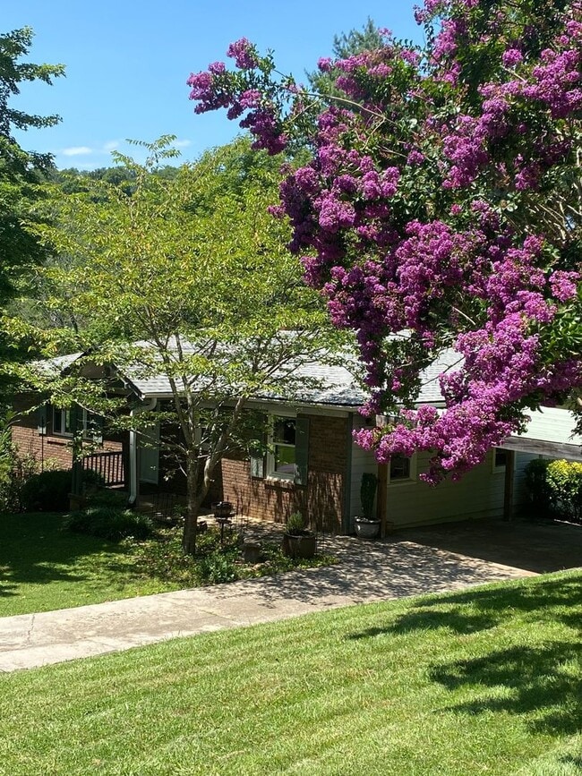 Building Photo - North AVL - Spacious Home with Large Yard and Outdoor Fireplace!