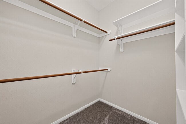 Building Photo - 21610 Avalon Queen Dr