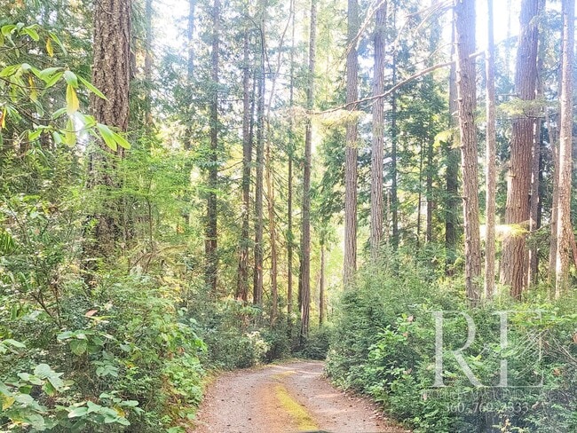 Building Photo - Waterfront Tudor | Private, Vintage Charm with Casita