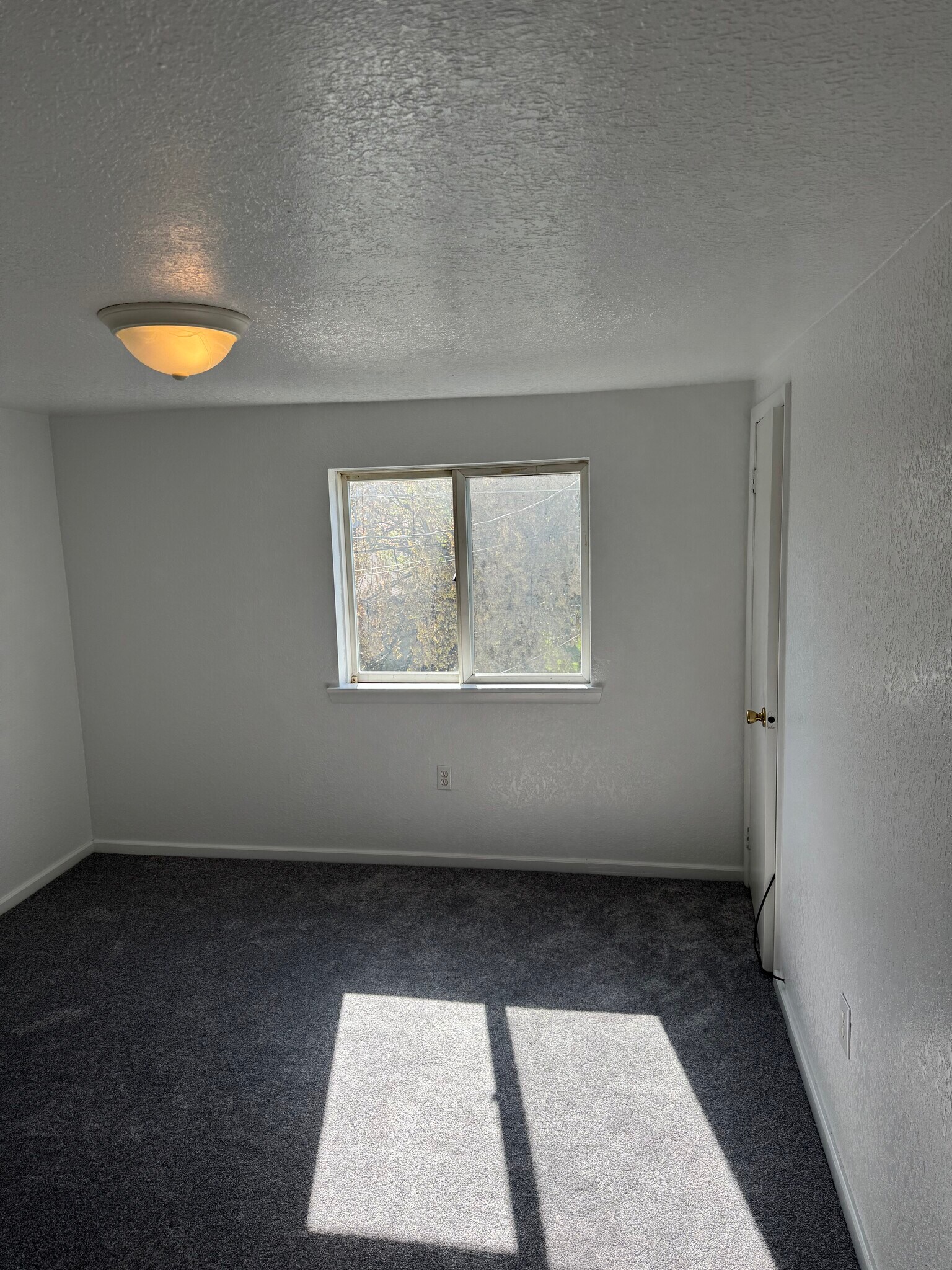 Building Photo - 313 Wagner Ave