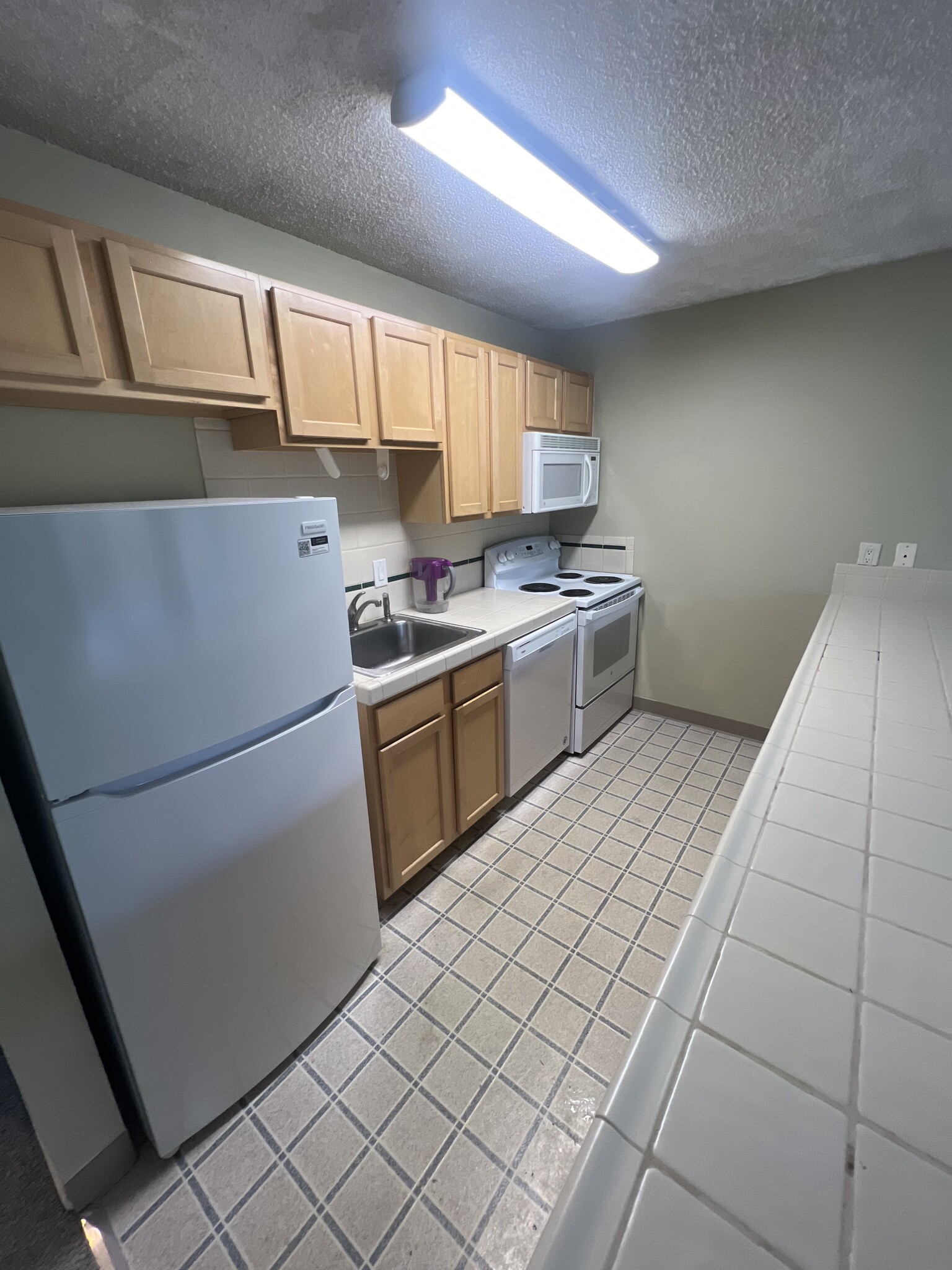 Kitchen. New refrigerator and dishwasher. - 100 Kerr Pkwy