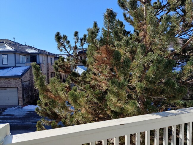 Private 2nd floor Balcony - 6745 S Winnipeg Cir