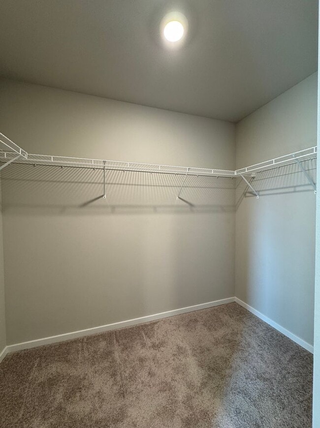 Building Photo - HUGE NEW PET FRIENDLY