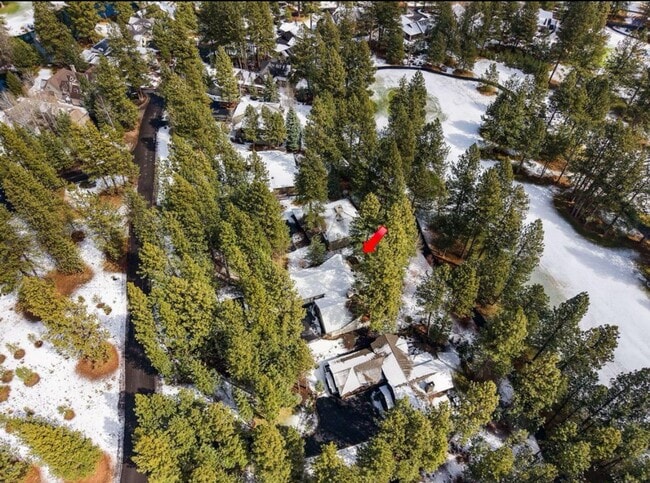 Building Photo - Gorgeous Single Level Luxury Home with 3-C...