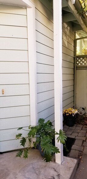 Building Photo - 1520 Adeline St