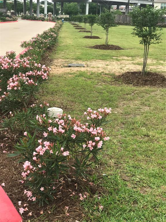 Building Photo - 11519 Main Cypress Dr