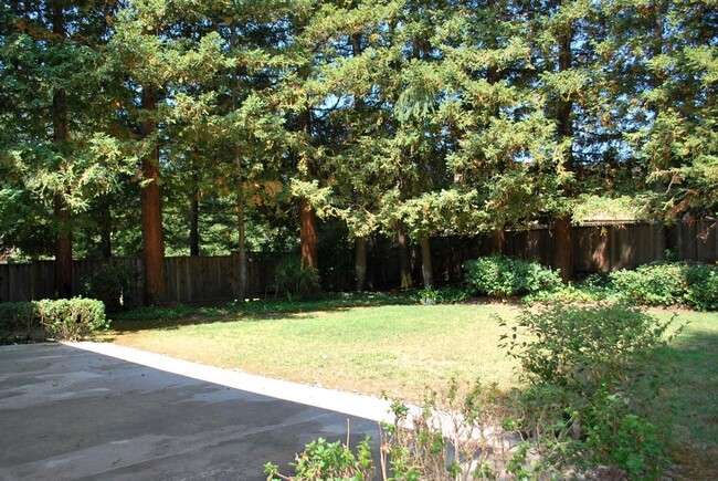 Building Photo - Beautiful Vista San Ramon Home! Huge Yard ...