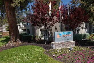 Building Photo - Riley Square