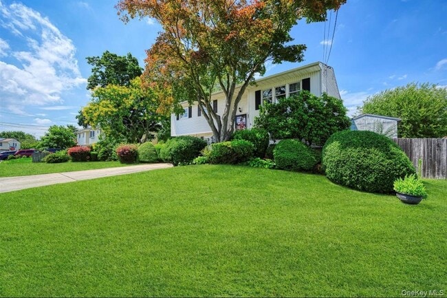 Primary Photo - 27 Douglass St