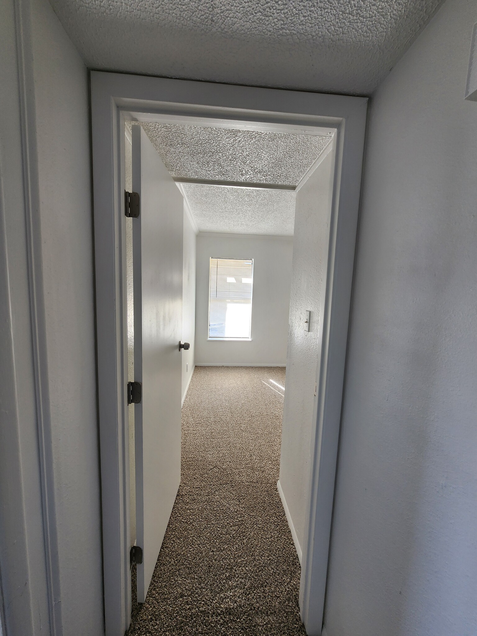 front bedroom - 7408 Avenue X