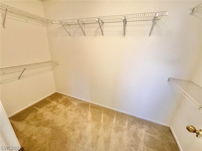 Building Photo - 8233 Cactus Canyon Ct