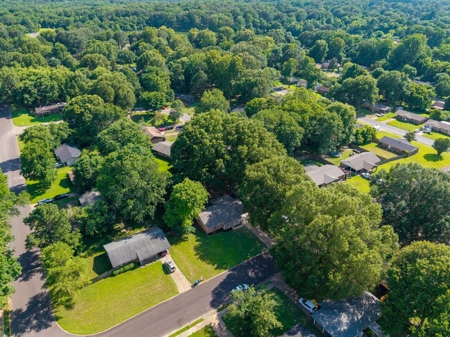Building Photo - 3 bedroom, 2 bath recently updated in Horn...