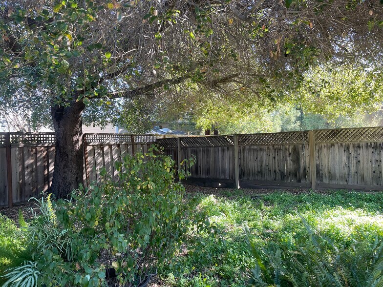 Building Photo - 15040 Los Gatos Blvd