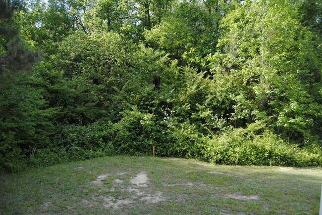 Building Photo - 105 Tillage Pl