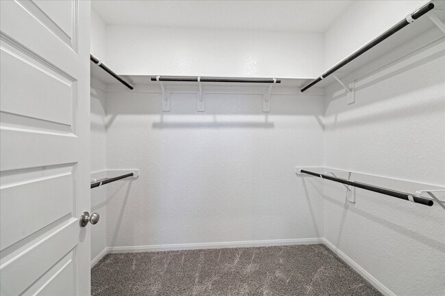 Building Photo - 5502 Cuerta St