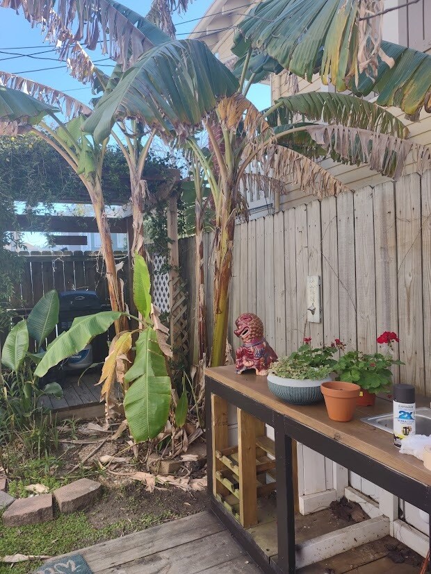 Building Photo - 1815 37th St