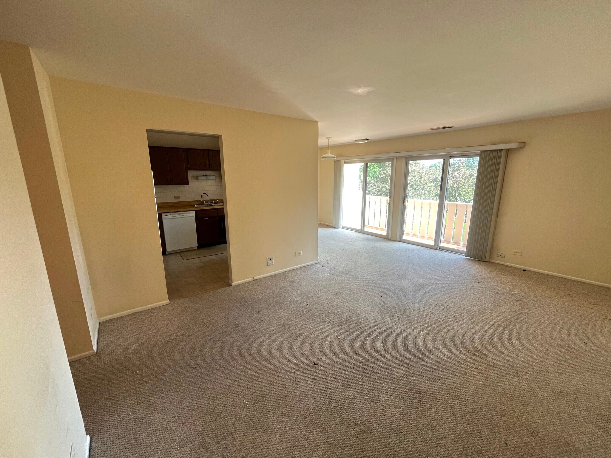 Living Room - 1054 Deerpath Ct