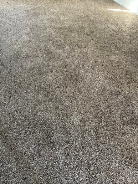 Building Photo - 55 Labelle Ave