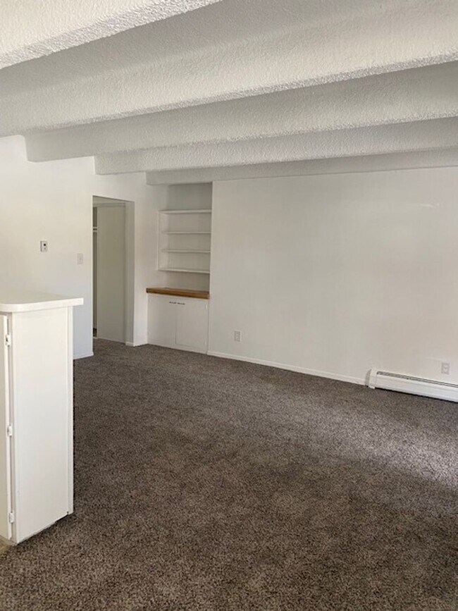 Building Photo - Newly remodeled 1-bedroom apartment near DU