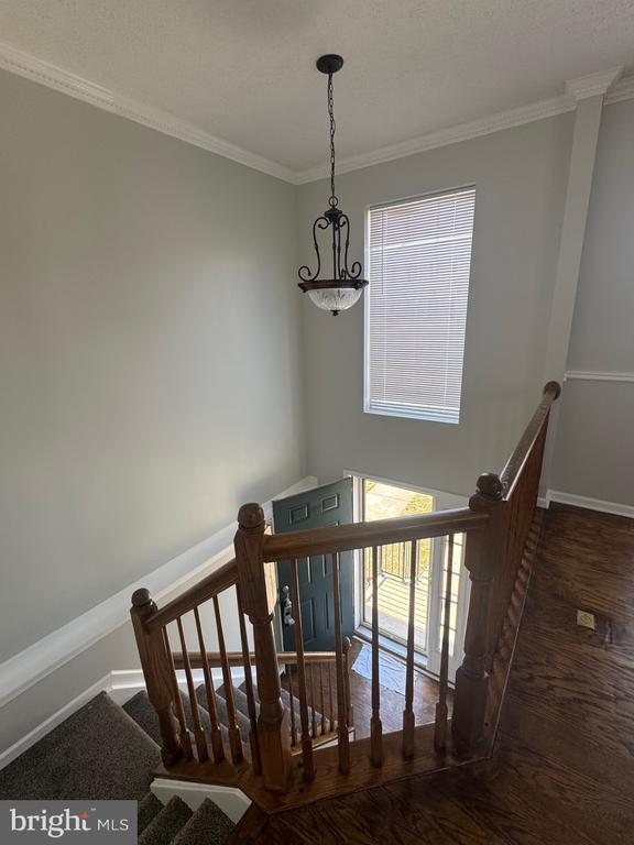 Building Photo - 325 Bald Eagle Way