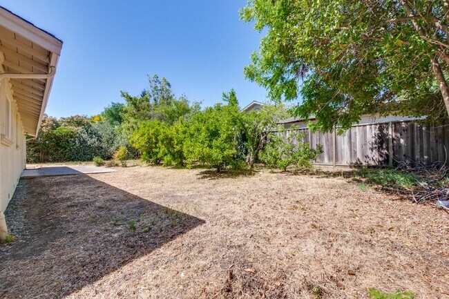 Building Photo - Spacious Home l Massive 12,525 Sq Ft Lot l...