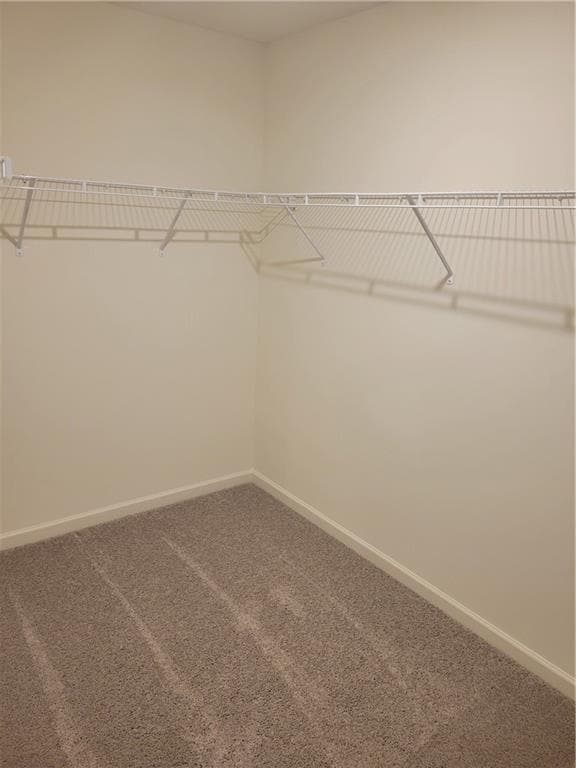 Building Photo - 1036 Castanea Dr