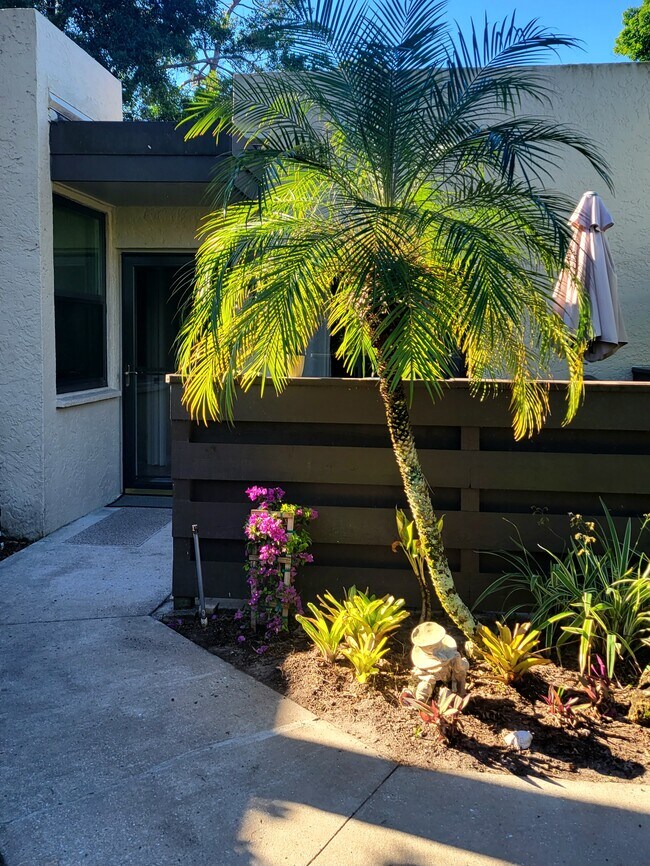 Primary Photo - 202 Pinebrook Dr