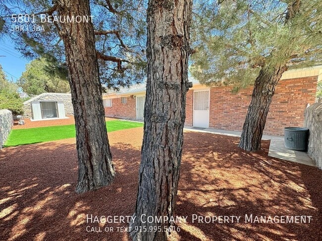 Building Photo - 5801 Beaumont-
