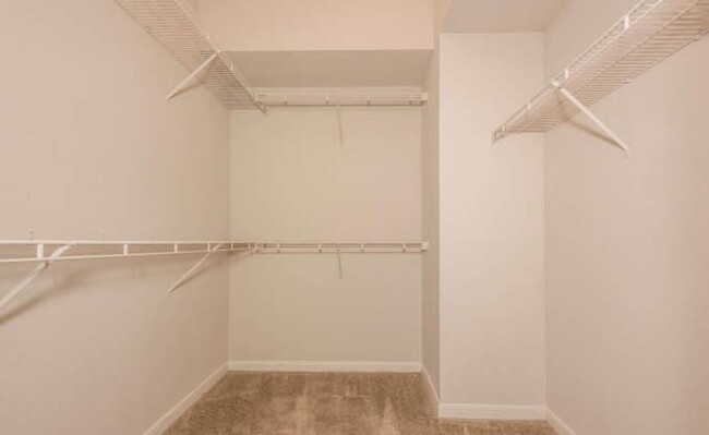 Building Photo - 1 bedroom in Houston TX 77095