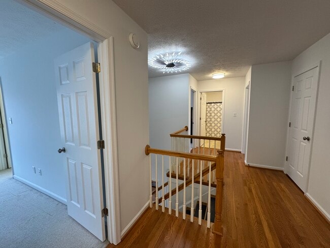 Building Photo - 307 Ludlow Dr