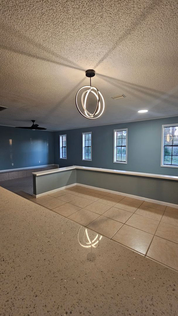 Building Photo - Beautiful 4BR 2BA home in Lakeland, GA