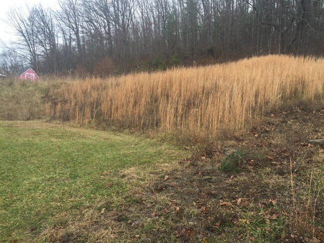 Building Photo - 2175 Maple Acres Rd