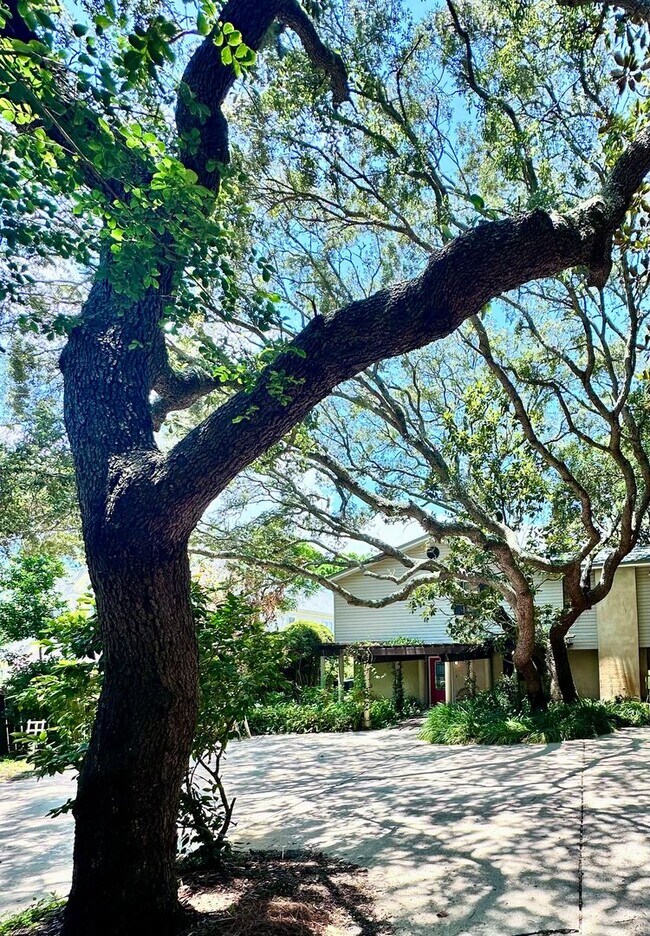 Building Photo - Beautiful 3B/3.5B Waterfront Fully Furnish...