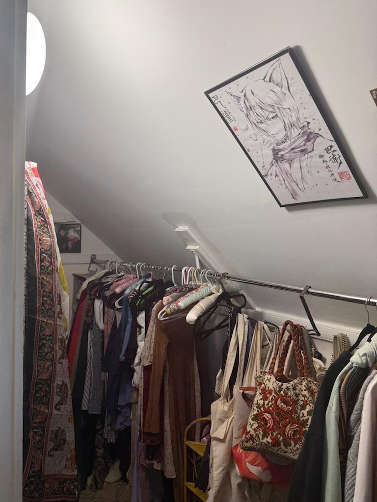 Closet 1st room - 27 Walkley Rd