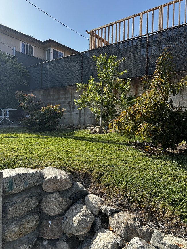 Lawn and Fruit Trees - 959 E Mariposa St