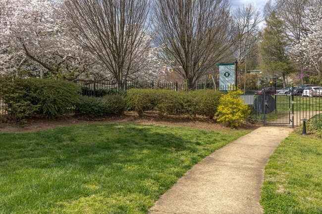 Building Photo - Beautiful 1 Bed 1 Bath near Moses Cone and...