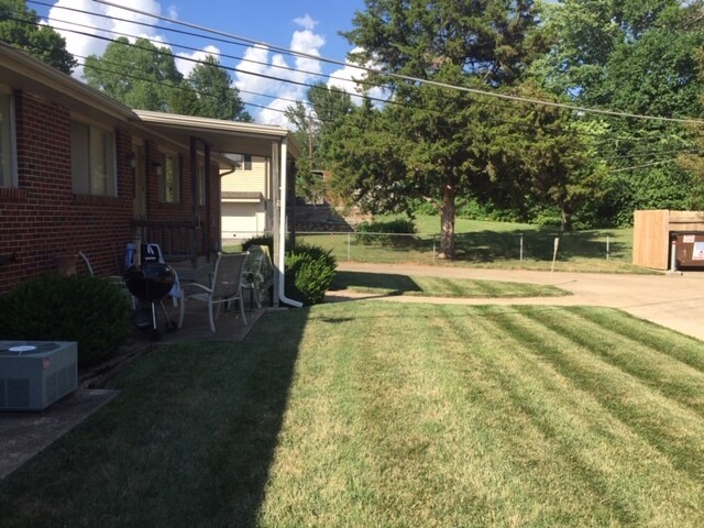 Nice quiet backyard. - 12601 Blue Ridge Ext