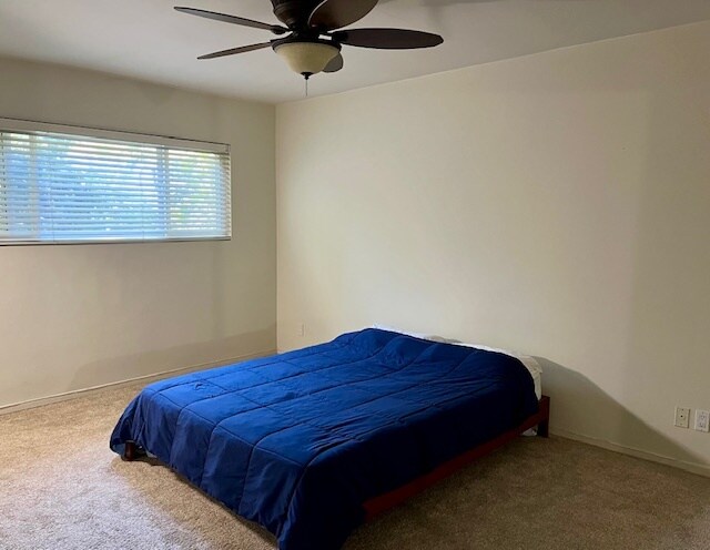 Building Photo - 1317 Stanford St