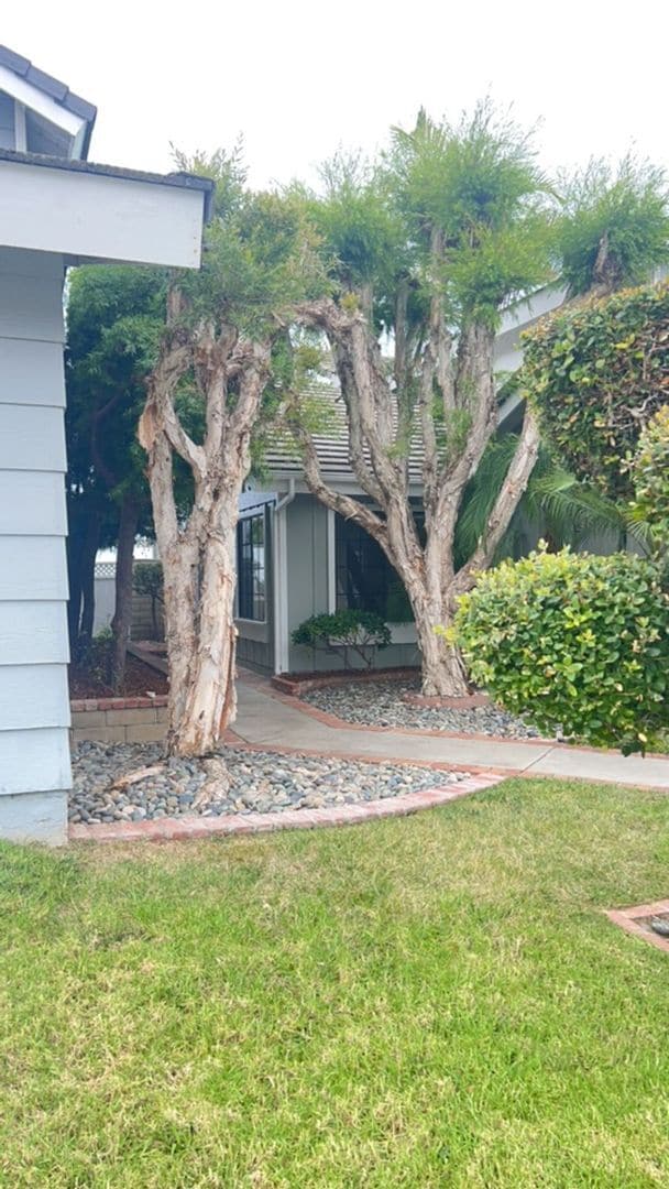 Building Photo - OCEAN VIEW Home in the gated Community of ...