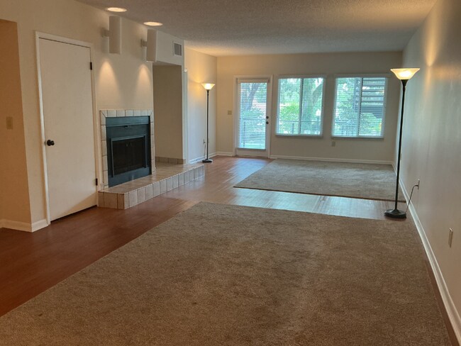 Building Photo - Lakeview Condo Coming Soon | Directly Across from Lake Hollingsworth