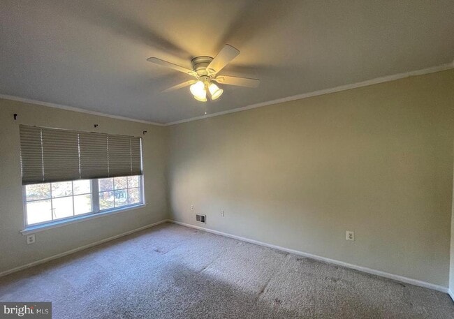 Building Photo - 127 Tulip Ln