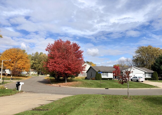 Neighborhood (in autumn) - 4325 Chelten Ave