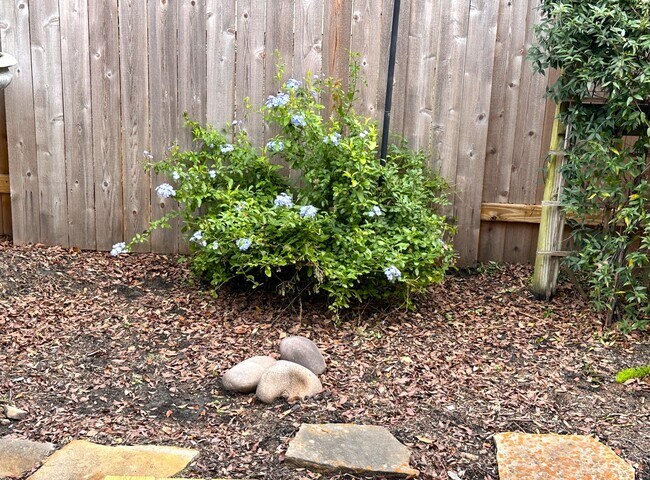 Building Photo - 46 Summer Haze Cir