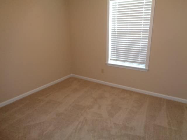 Building Photo - 3015 Shadow Green Ln