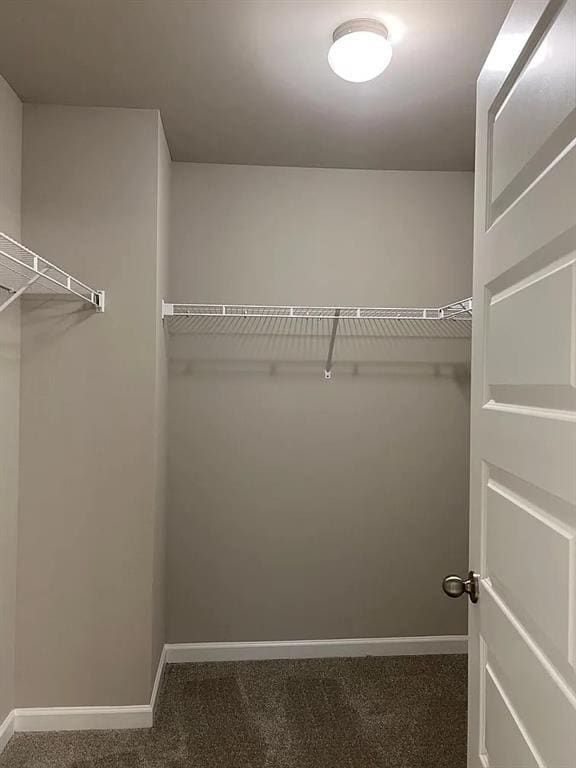 Building Photo - 4282 Morrison Lk Trl