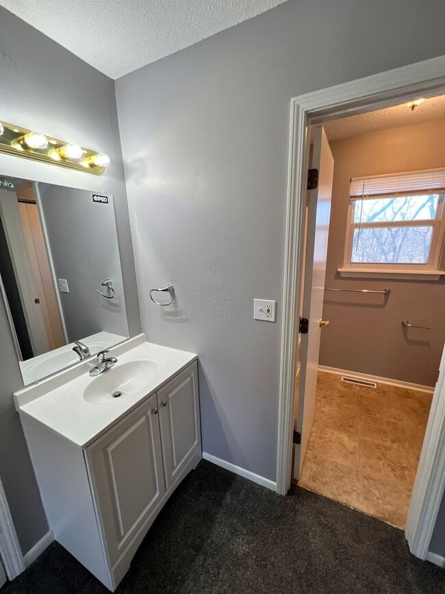 Building Photo - Spacious Split-Level Duplex in Lee’s Summit