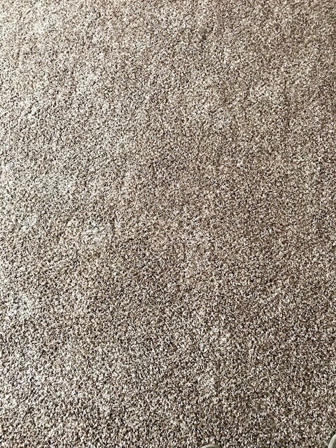 Carpeting - 4231 N 104th St