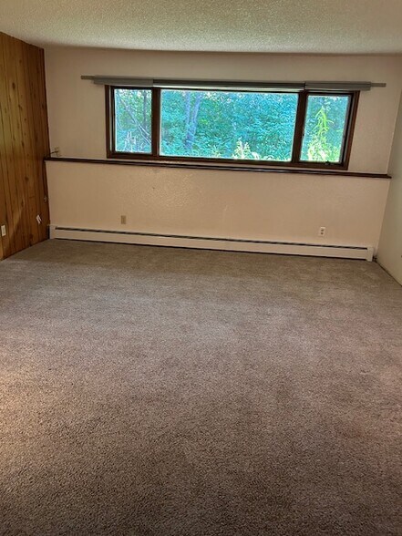 Living Room - 4921 Dartmouth Dr