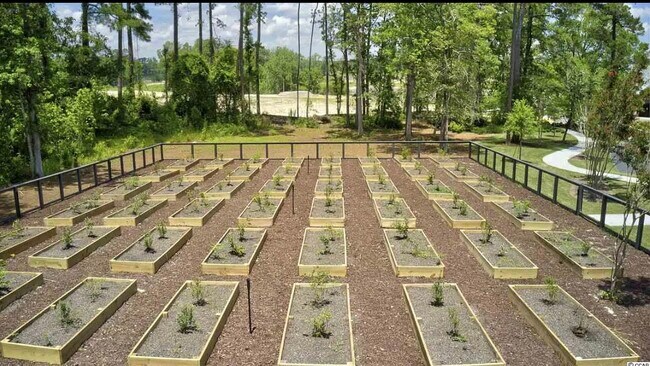 Building Photo - 1551 Jardine Loop