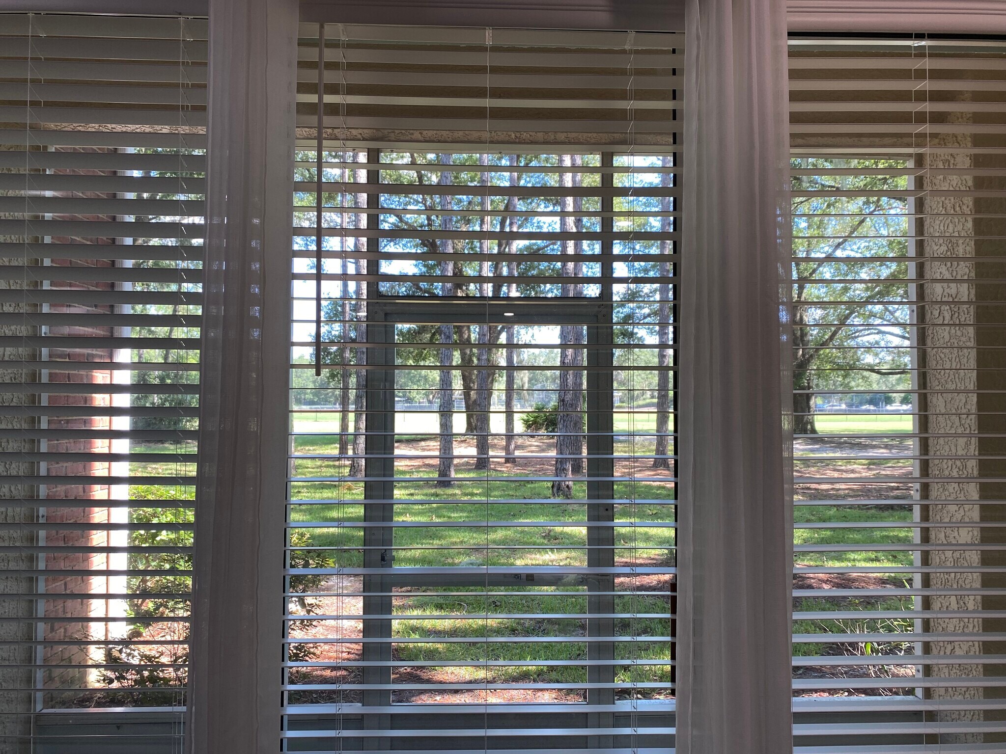 Back View - 785 Oakleaf Plantation Pky